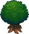 Thumbnail for version as of 22:22, 26 August 2024