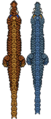 Thumbnail for version as of 02:05, 14 August 2024