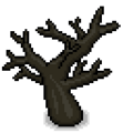 Thumbnail for version as of 10:37, 11 January 2024
