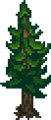 Thumbnail for version as of 22:23, 26 August 2024