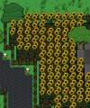 Thumbnail for version as of 12:10, 22 January 2024